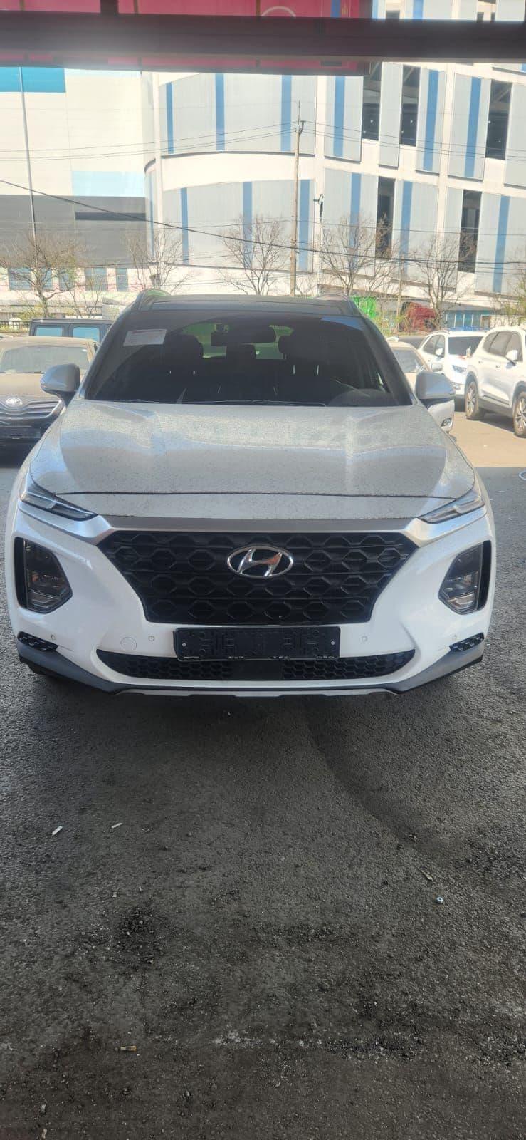 Carify Korea car delivery photo