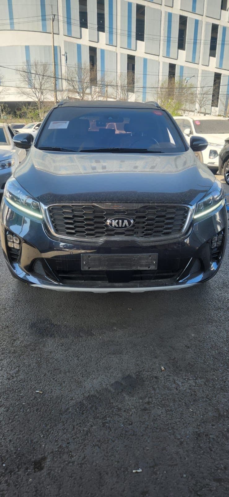 Carify Korea car delivery photo
