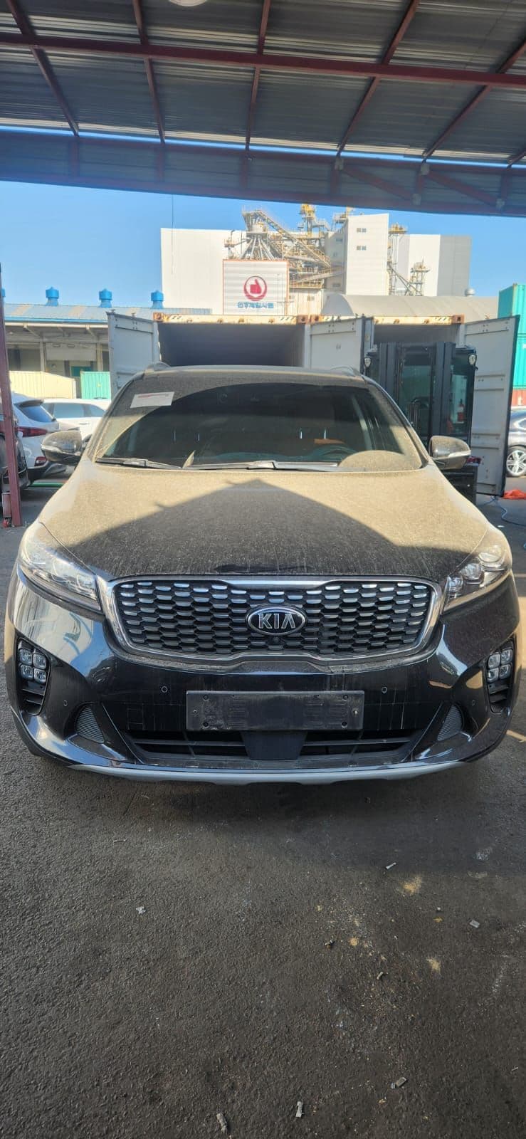Carify Korea car delivery photo